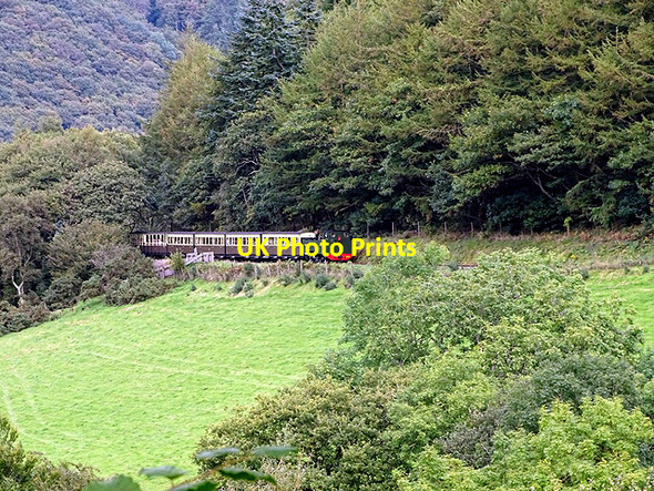 Photo 6"x4" Loco No 1213 drifts down to Aberffrwd by Cnwch yr Arian Aberffrwd\/SN6878 c2017