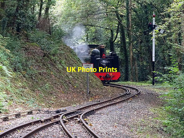 Photo 6"x4" No 8 finally arrives at Aberffrwd Aberffrwd\/SN6878 c2017