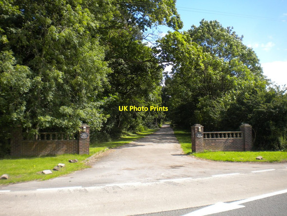 Photo 6"x4" Little Lime Lane, north of Arnold Redhill\/SK5746 c2017