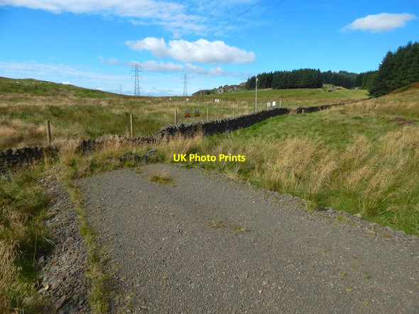 Photo 6"x4" The end of a forestry track Bowling\/NS4473 c2017