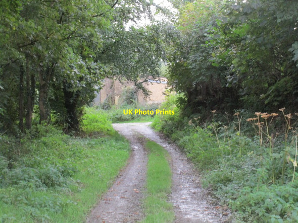 Photo 6"x4" Track to Lower East Kimber Farm East Kimber c2017