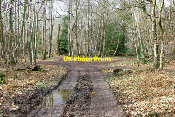 Photo 6"x4" Track junction, Rewell Wood Binsted c2007