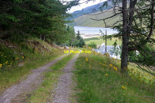 Photo 6"x4" Scardroy estate road Creag Loisgte\/NH2152 c2017