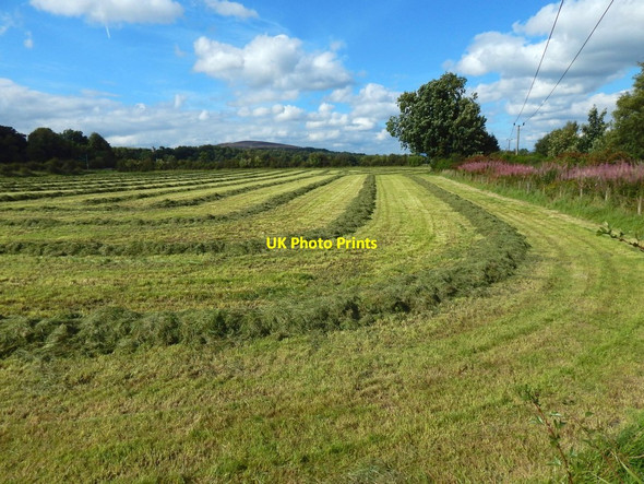 Photo 6"x4" Recently-mown field Dumbarton c2017