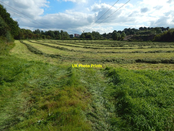 Photo 6"x4" Recently-mown field Dumbarton c2017