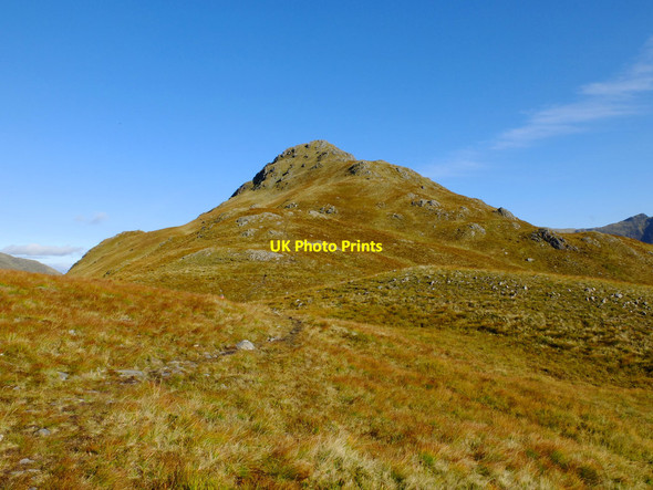 Photo 6"x4" Biod an Fhithich Biod an Fhithich\/NG9514 c2017