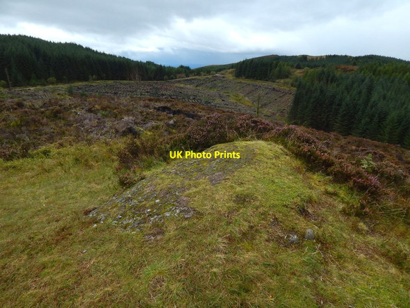 Photo 6"x4" The summit of Gouk Hill Arden\/NS3684 c2017