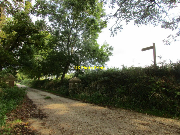 Photo 6"x4" Bridleway to Shedrick Bridge Holway\/ST3803 c2017