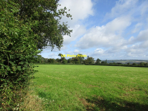 Photo 6"x4" Grass field near Thorncombe Gribb c2017
