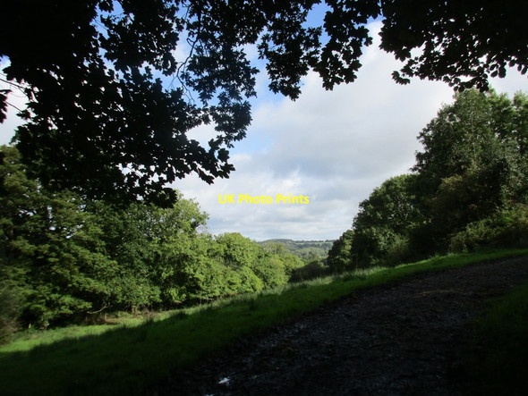Photo 6"x4" Near Wellfield Farm Marshwood c2017