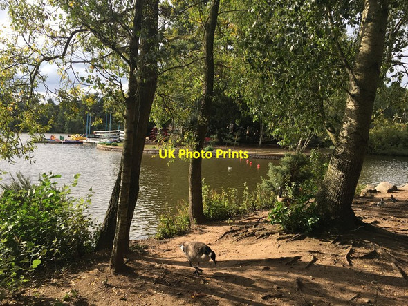 Photo 6"x4" The lake shore at Center Parcs Lidgett c2017