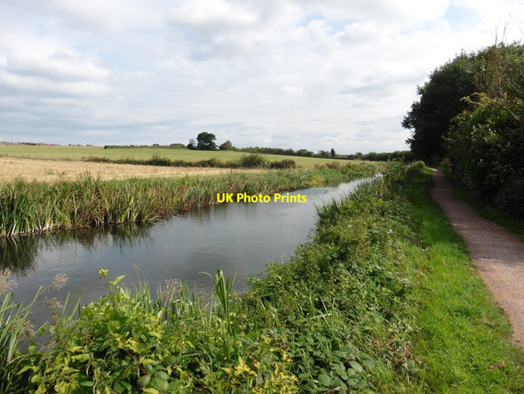 Photo 6"x4" Canal near Bathpool Taunton\/ST2324 c2017