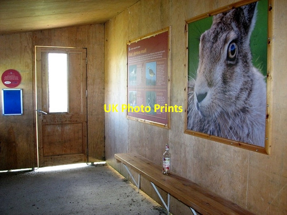 Photo 6"x4" Inside the RSPB bird hide Buckenham c2017 P1