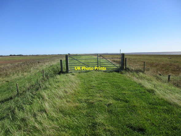 Photo 6"x4" Gate on Weeton Bank Weeton\/TA3520 c2017