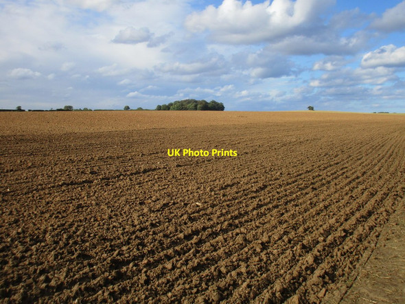 Photo 6"x4" Prepared field and Lowclose Plantation Weeton\/TA3520 c2017