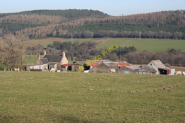 Photo 6"x4" Mains of Towiebeg Drummuir\/NJ3844 c2009