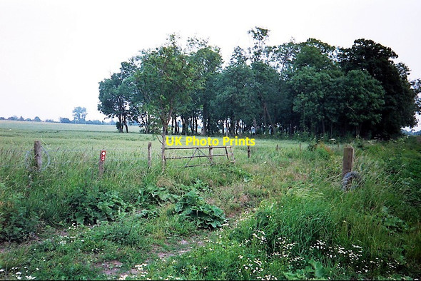 Photo 6"x4" Sonning Farm Trail Charvil c1990