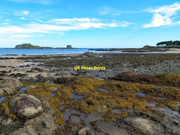 Photo 6"x4" Rocky shore east of Marine Villa Dirleton\/NT5183 c2017
