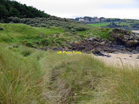 Photo 6"x4" Dunes near Black Rocks Gullane c2017