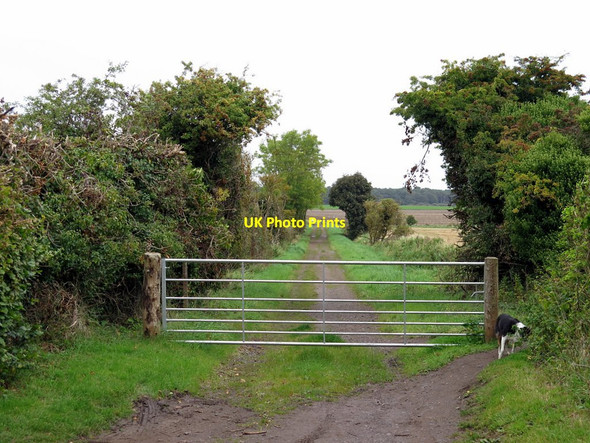 Photo 6"x4" John Muir Way at Manse Road, Dirleton Dirleton\/NT5183 c2017