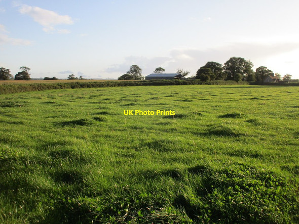 Photo 6"x4" Grass field and barn at Darvole East Coker c2017