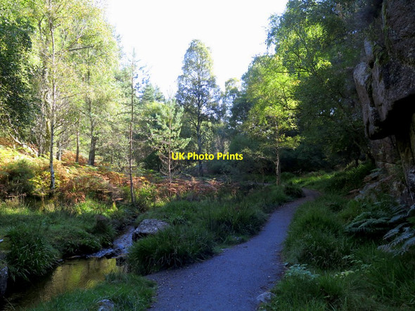 Photo 6"x4" Footpath by Vat Burn Inchmarnoch c2017