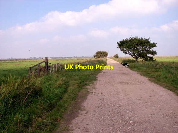 Photo 6"x4" Track in the Thurlton Marshes Lower Thurlton c2017