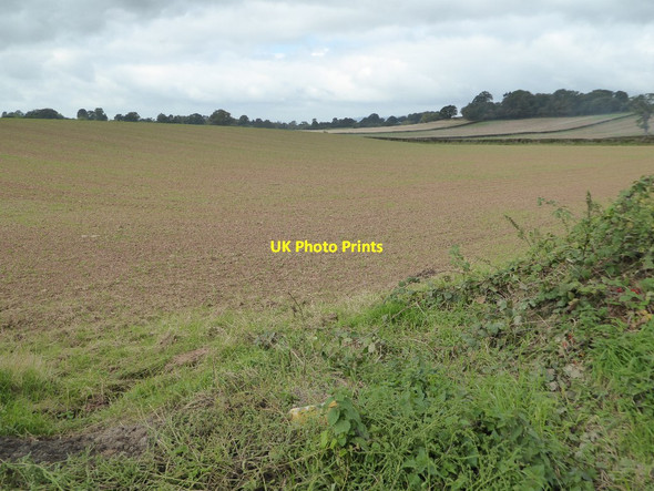 Photo 6"x4" Arable farmland Luston c2017