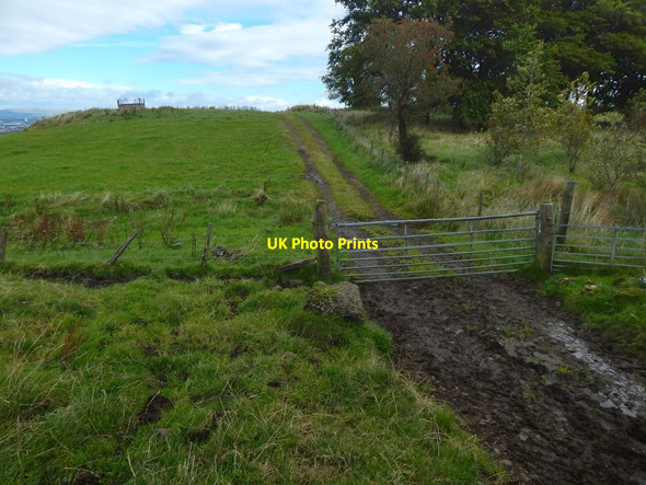 Photo 6"x4" Farm track Gateside\/NS4858 c2017