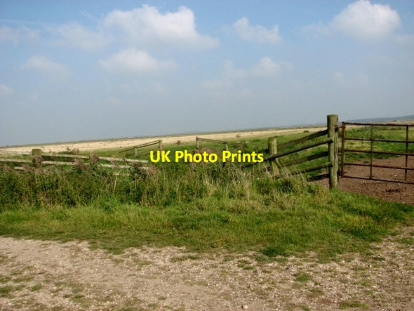 Photo 6"x4" Pastures in the Thurlton Marshes Lower Thurlton c2017