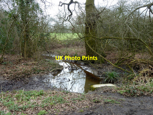 Photo 6"x4" Culverted ditch under Burtonhall Lane Finchley c2013