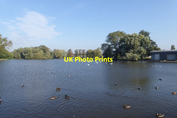 Photo 6"x4" Lake in East Park Sutton Ings\/TA1231 c2017