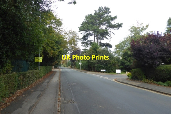 Photo 6"x4" Heads Lane Hessle\/TA0326 c2017
