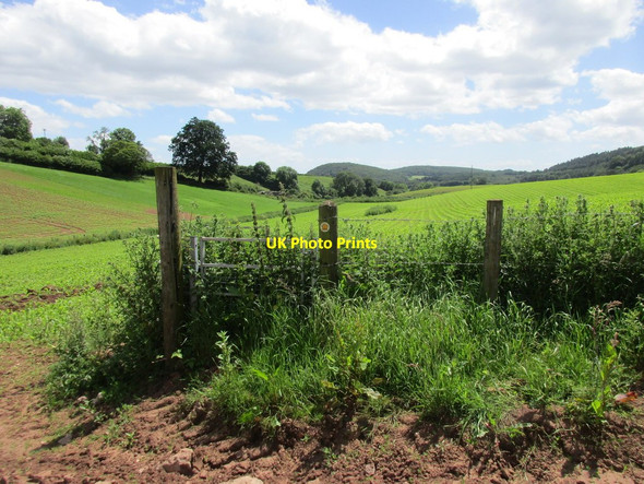 Photo 6"x4" Disused gate Plump Hill c2017