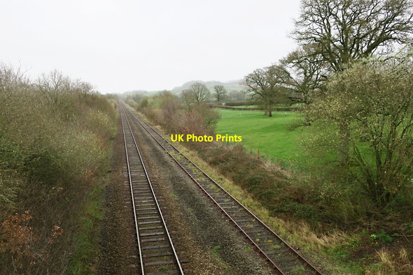 Photo 6"x4" A Straight Line Neopardy c2017