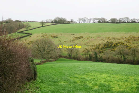 Photo 6"x4" Steep Valley near Woodland Farm Woodland Head c2017