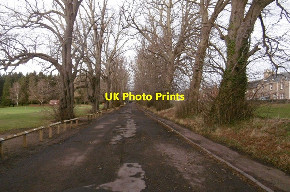 Photo 6"x4" The Avenue, Gifford Gifford c2016
