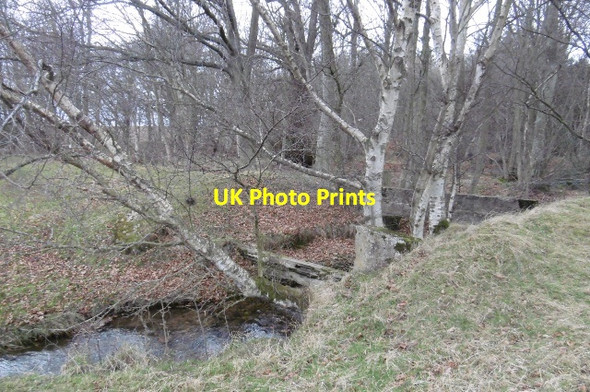 Photo 6"x4" Newhall Wood Bolton\/NT5070 c2016