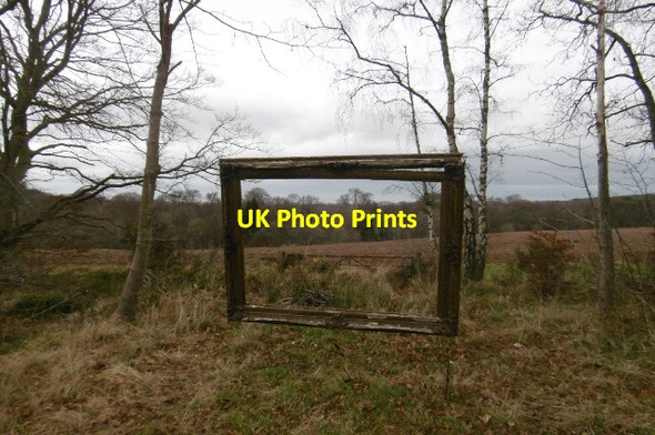 Photo 6"x4" Window frame, Bell's Wood Gifford c2016