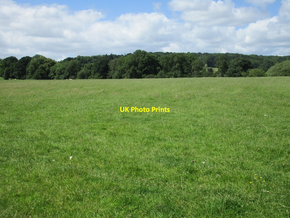 Photo 6"x4" View towards Blaisdon Hill Blaisdon c2017