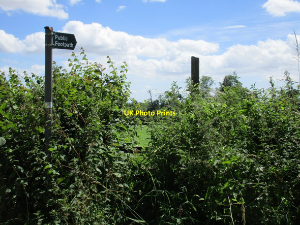 Photo 6"x4" The beginning of a footpath near Blaisdon Blaisdon c2017