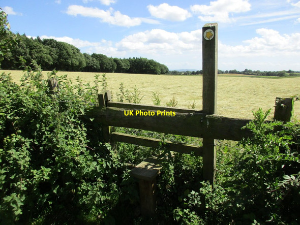 Photo 6"x4" Stile and Ley Park Northwood Green c2017