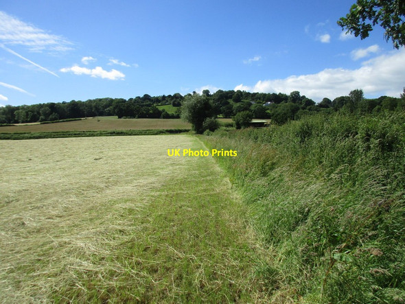 Photo 6"x4" Footpath to Blaisdon Lane Blaisdon c2017