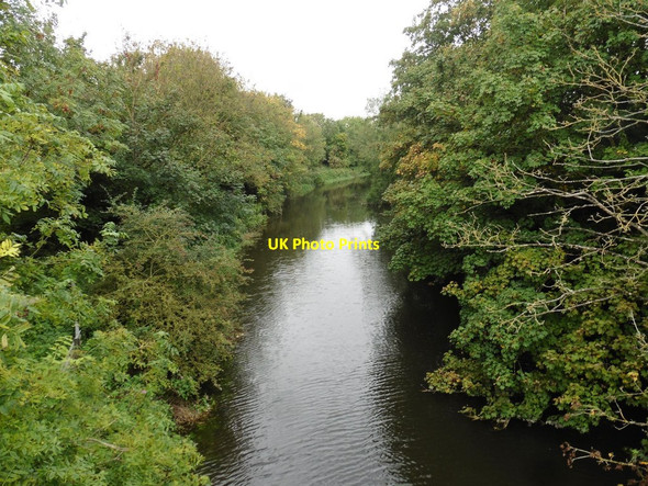Photo 6"x4" River Brue at Highbridge Alstone\/ST3146 c2017