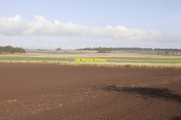 Photo 6"x4" Seedbed outside Arbroath Arbroath c2017
