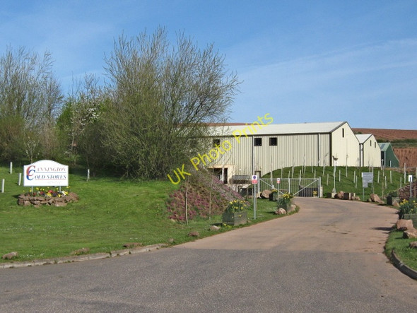 Photo 6"x4" Cannington Old Stores Charlinch c2009