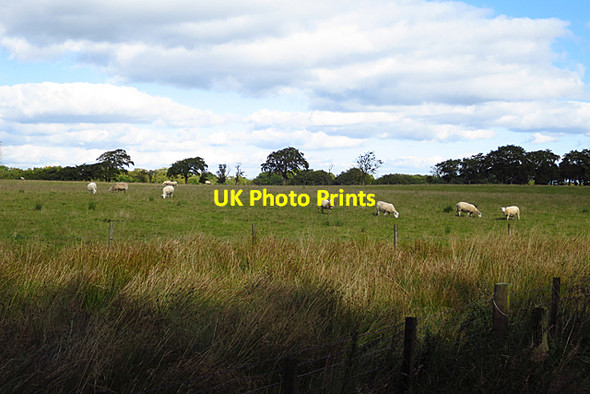 Photo 6"x4" Near Kiprig Harburn\/NT0461 c2017