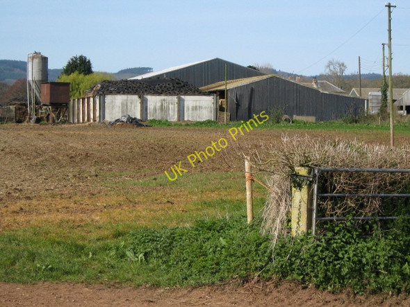 Photo 6"x4" Currypool Farm Spaxton c2009