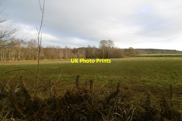 Photo 6"x4" Field, Eaglescairnie Bolton\/NT5070 c2017