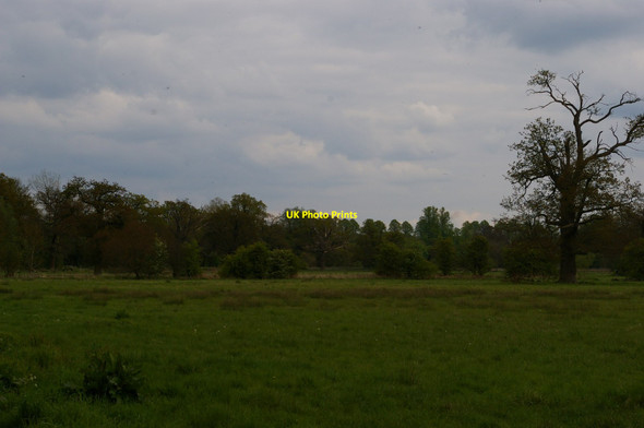 Photo 6"x4" Water-meadows between Saffron Walden and Audley End Saffron Walden c2017